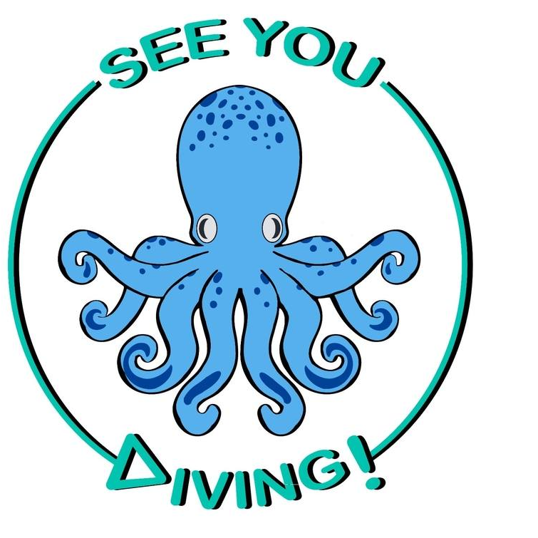 See You Diving Tenerife internships in Spain, Los Cristianos