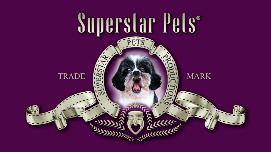 SUPERSTAR PETS PRODUCTIONS LTD internships in East of England, 